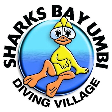 Sharks Bay Umbi Diving Center